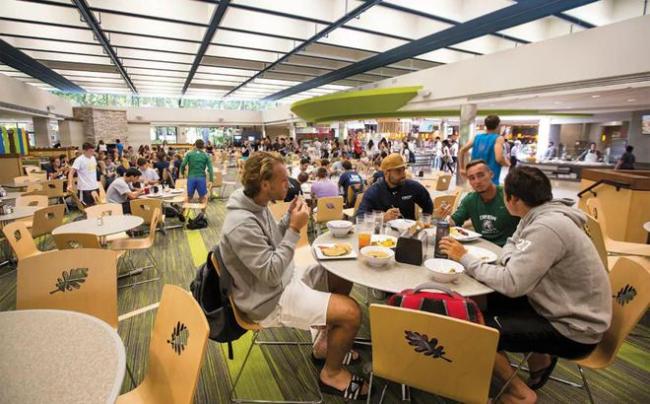 美国食堂最差的大学排行榜！干饭人看完都沉默了….